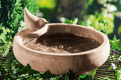 Dekoleidenschaft Vogeltränke aus Terracotta im Antik-Look – Bild 1 von 5