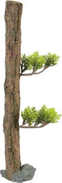 Produktbild von Dekoration Baumstamm Wald für Aquarium Zolux