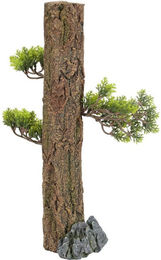 Produktbild von Dekoration Waldstamm für Aquarium Zolux