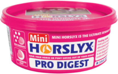 DERBY Horslyx Pro Digest - 650 g – Bild 1 von 4