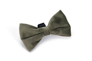 Designed by Lotte Fliege Zaza Hundehalsband Velvet Grün – Bild 1 von 4