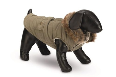 Produktbild von Designed by Lotte Hundemantel Philos Grün Größe L