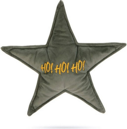Produktbild von Designed by Lotte Weihnachtsstern Hundespielzeug aus Samt grün