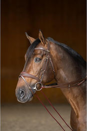 Produktbild von Deutsche Lederriemen mit Schnur HFI