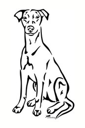 Produktbild von Deutscher Pinscher Grafiklizenz
