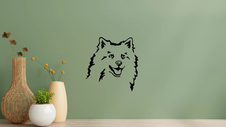 Produktbild von Deutscher Spitz Kopf Wandtattoo Wandbild Wandsticker Wandaufkleber Wanddekoration