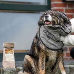 Produktbild von DGS™ Hundehandtuch Dirty Dog Shammy grau - 80 cm