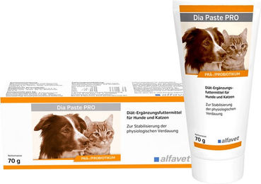 Dia Paste PRO - 70 g – Bild 1 von 2