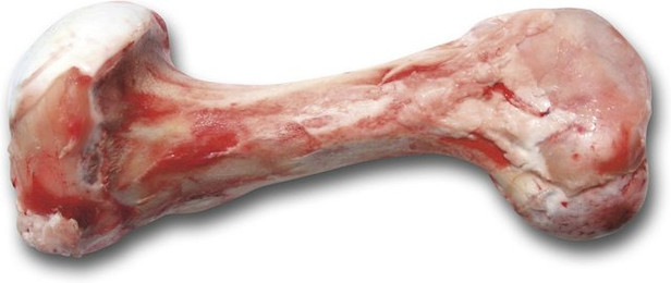 Produktbild von DIBO Kalbsröhrenknochen Spezialfutter / Frostfutter für Hunde Sparpaket 5 x 1100 Gramm