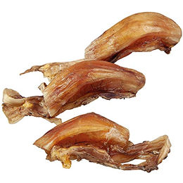 Dicke Straußensehnen (Kniesehnen) – Bild 1 von 4