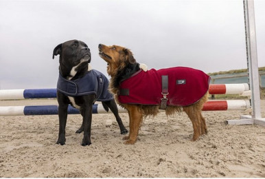 Produktbild von Diego & Louna Hundedecke aus Nylon Teddy