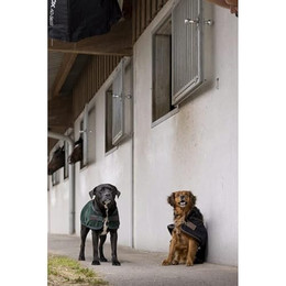 Produktbild von Diego & Louna Hundedecke aus Nylon Teddy