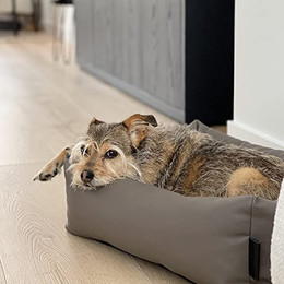 Produktbild von District 70 Hundebett URBAN taupe S