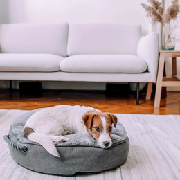 Produktbild von District 70 SNUG Pouf - Grau