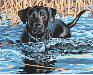 Produktbild von Diy Cute Pet Diamant Stickerei Hunde Cavalier King Charles Spaniel 5D Muster