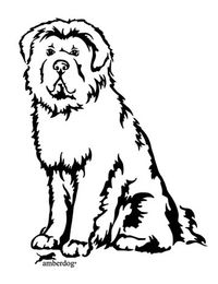 Produktbild von Do Khyi Tibet Dogge Grafiklizenz