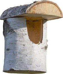dobar Nistkasten Dobar Nistkasten aus Birkenholz Einflugloch 80 mm – Bild 1 von 4