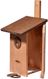 Produktbild von dobar Nistkasten Einblick Massivholz mit Plexiglas