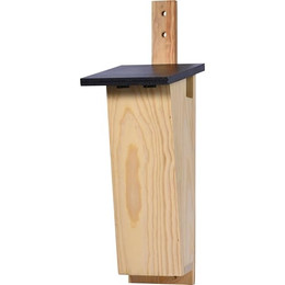 Produktbild von dobar Spezial-Nistkasten für Baumläufer aus Kiefernholz