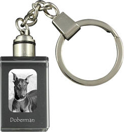 Produktbild von Dobermann, Doberman Pinscher, Dobie - Crystal key ring with dog photo, illuminated key ring, unique gift by Art-Dog brand transparent