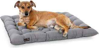 Produktbild von Doctor Bark Pointer Urban Hundekissen hellgrau M