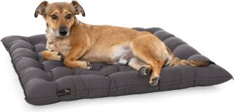 Produktbild von Doctor Bark Pointer Urban Kissen grau XXXL