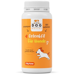 Produktbild von DOG NATIVE GelenkFit für Hunde Gelenkpulver mit Grünlippmuschel, MSM, Chondroitin & Kollagen - 175 g