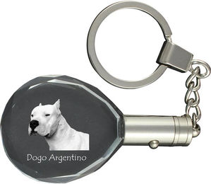 Produktbild von Dogo Argentino - Anhänger mit Hundefoto, Kristall-Schlüsselring in Geschenkbox, ein einzigartiges Geschenk von Art-Dog transparent