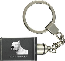 Produktbild von Dogo Argentino - Kristall-Schlüsselring mit Hundefoto, beleuchteter Schlüsselanhänger, einzigartiges Geschenk der Marke Art-Dog transparent