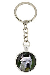 Dogo Argentino Schlüsselanhänger mit Foto silber – Bild 1 von 4
