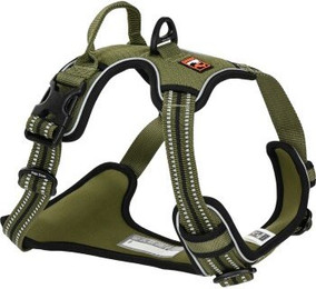 Produktbild von Dogs Creek Geschirr Pathfinder grün XL