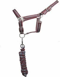 Produktbild von Doppel-Halfter für Pferde + Longe T de T