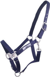 Doppelhalfter QHP – Bild 1 von 2