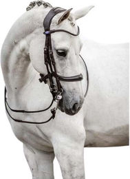 Produktbild von Doppelsbriddlereiten PS of Sweden Paragon