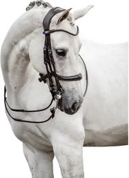 Produktbild von Doppelsbriddlereiten PS of Sweden Paragon