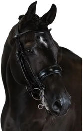 Produktbild von Doppelsbriddlereiten PS of Sweden Passage