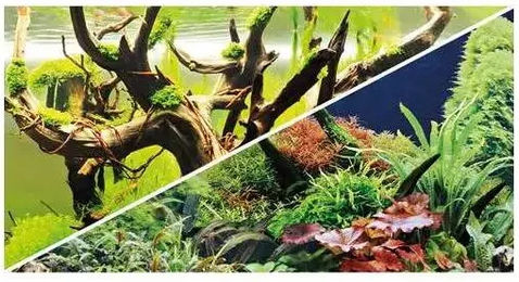 Produktbild von Doppelseitiges Klebeband Hobby Secret/ Wood Island 0,30 cm