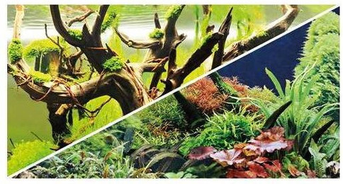 Produktbild von Doppelseitiges Klebeband Hobby Secret/ Wood Island 0,40 cm