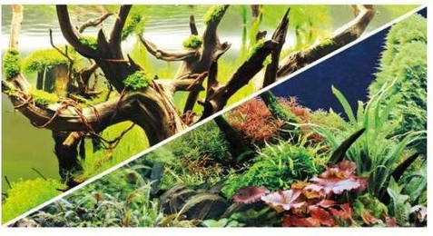 Produktbild von Doppelseitiges Klebeband Hobby Secret/ Wood Island 0,60 cm