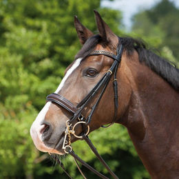 Produktbild von Doppelte Reitzunge Kieffer Paris with square brass buckles