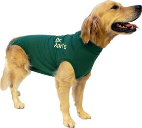 Dr. Ann's Protective Shirt Hund XXXS – Grün – Bild 1 von 5