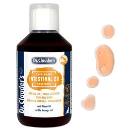 Produktbild von Dr. Clauders Intestinal 20 Kr?uter?l - 250ml