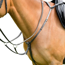 Drei-Punkte-Stirnriemen mit Rennmartingale Kincade – Bild 1 von 2