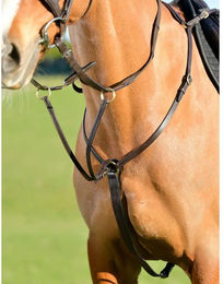 Produktbild von Drei-Punkte-Stirnriemen mit Rennmartingale Kincade