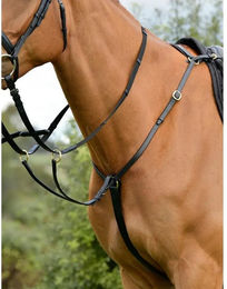 Produktbild von Drei-Punkte-Stirnriemen mit Rennmartingale Kincade