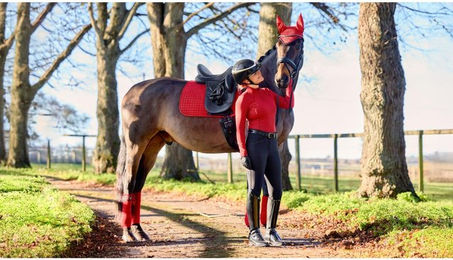 Produktbild von Dressur Schabracke LeMieux Chilli Suede