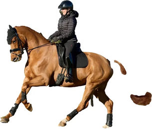 Produktbild von Dressur Schabracke LeMieux Square