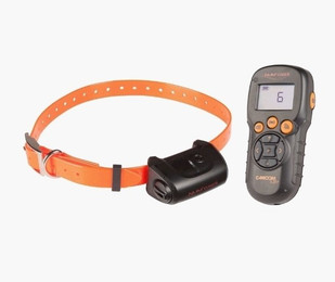 Produktbild von Dressurhalsband für Hunde Num'axes Canicom 5.201