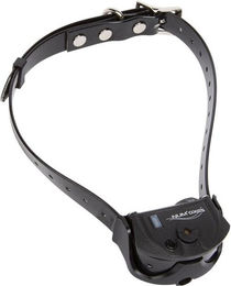 Produktbild von Dressurhalsband für Hunde Num'axes Canicom Spray