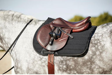 Produktbild von Dressurmatte aus Netzgewebe für Pferde HorseGuard Kandy